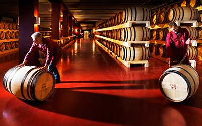 immagine per sito distilleria poli vicenza
